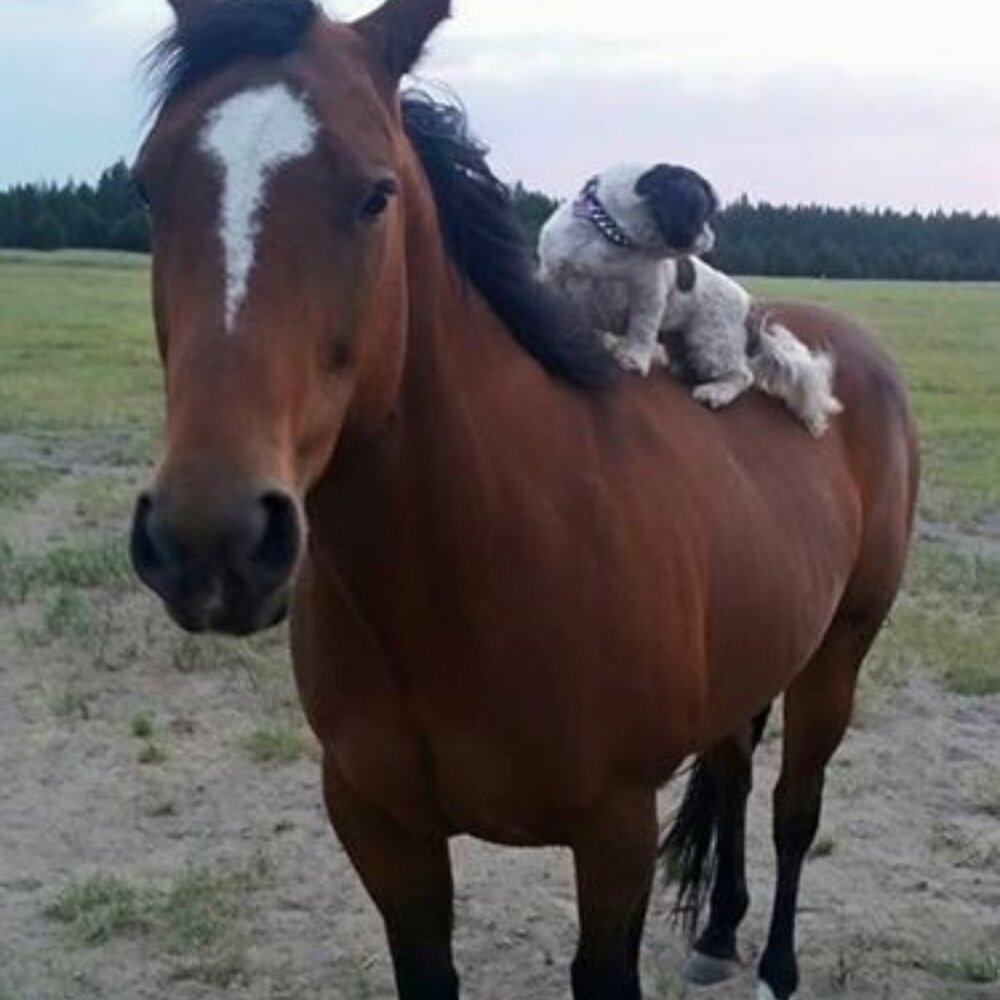 Meet your Posher, Valerie